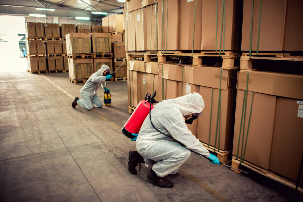 Best Pest Control Near Me  in Holdrege, NE