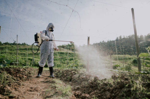 Best Mosquito Control Services  in Holdrege, NE