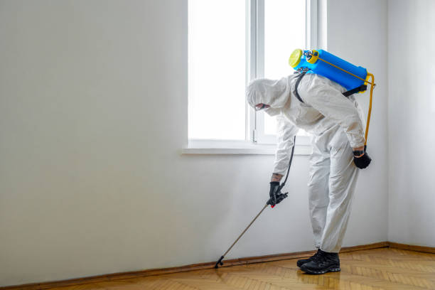 Best Local Pest Control Services  in Holdrege, NE