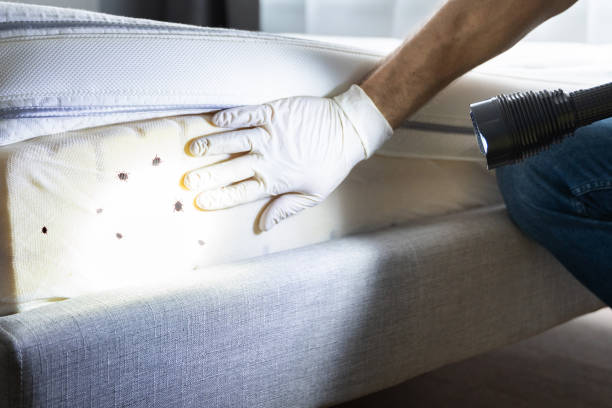 Best Residential Pest Control  in Holdrege, NE