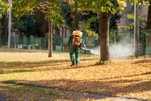 Trusted Holdrege, NE Pest Control Experts