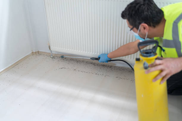 Best Wasp Removal Services  in Holdrege, NE
