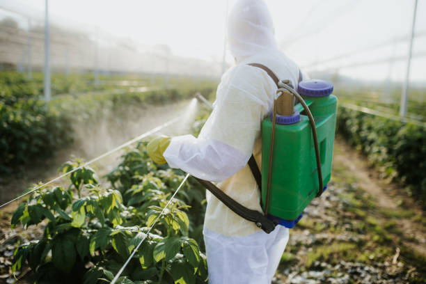 Best Pest Control Treatment  in Holdrege, NE